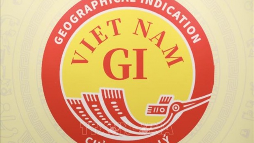 Vietnam National Geographical Indication logo revealed